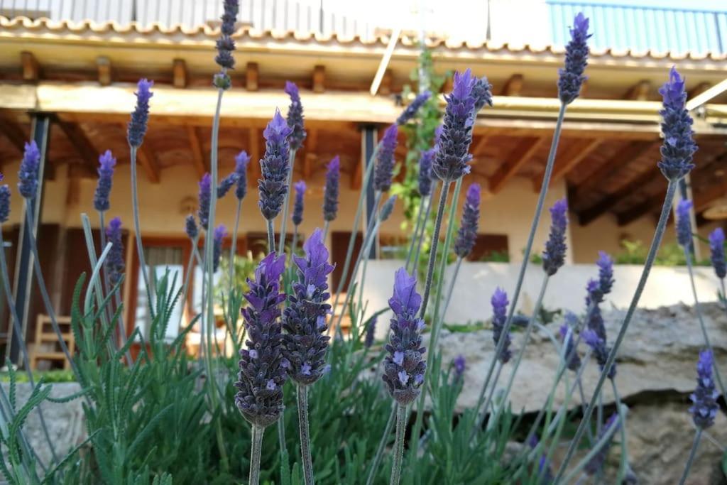Finca Rural S'Estepa Palma Kültér fotó