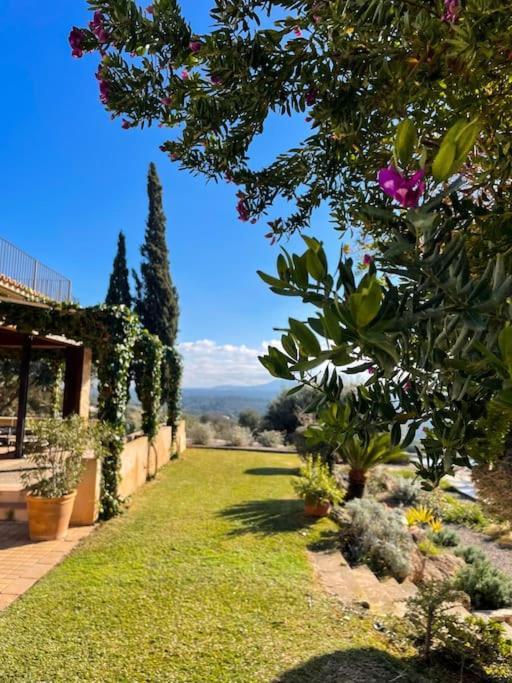 Finca Rural S'Estepa Palma Kültér fotó
