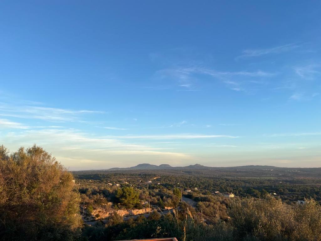 Finca Rural S'Estepa Palma Kültér fotó