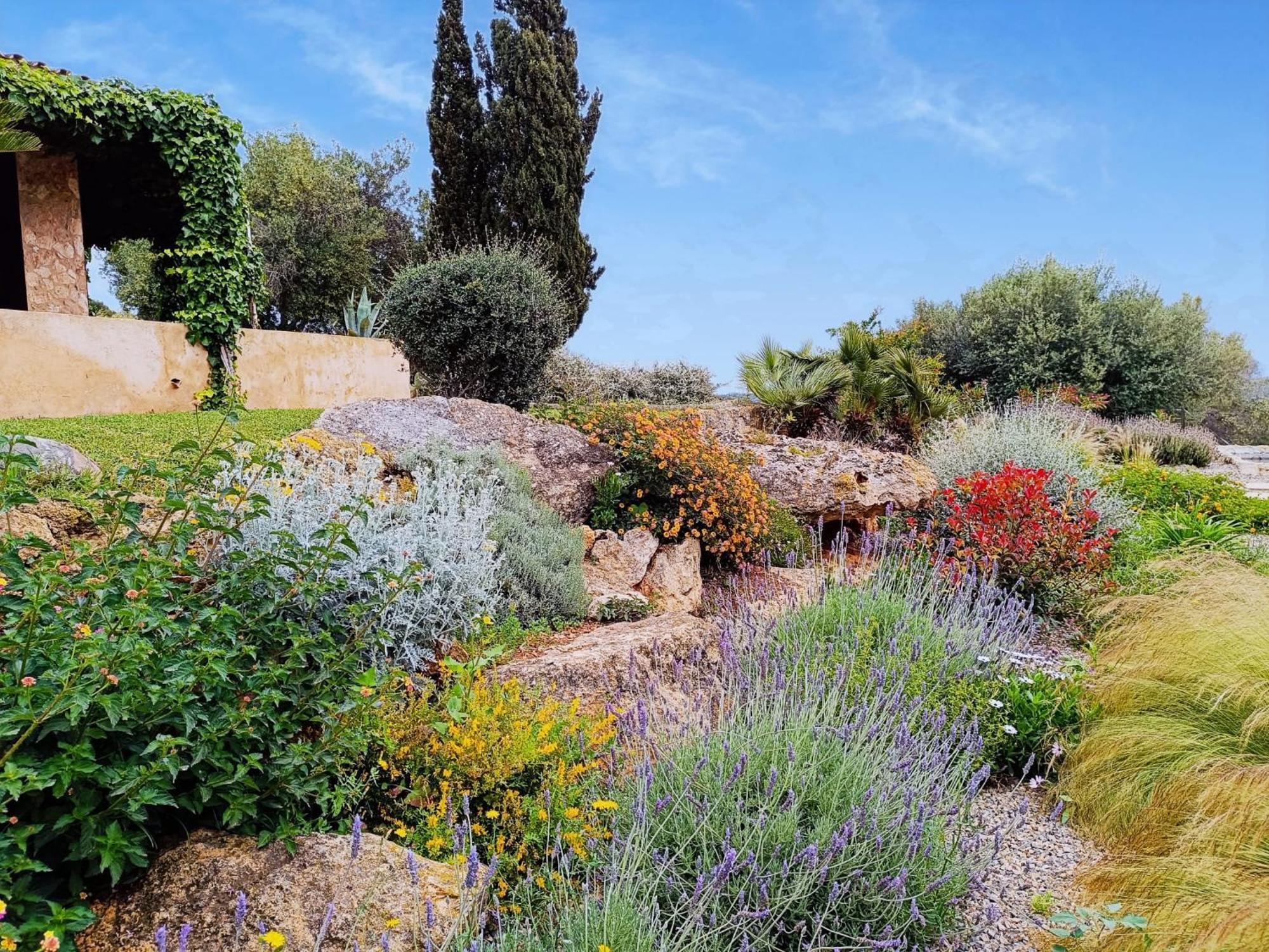 Finca Rural S'Estepa Palma Kültér fotó